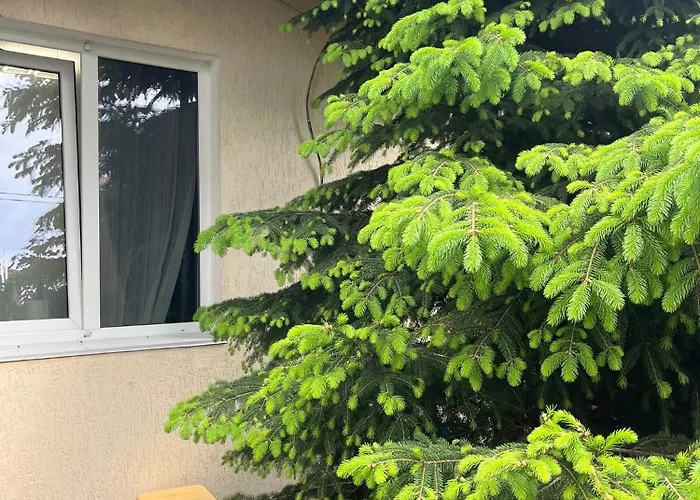 Cozy House On Vanceti Street
